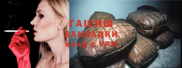 гидра Ельня