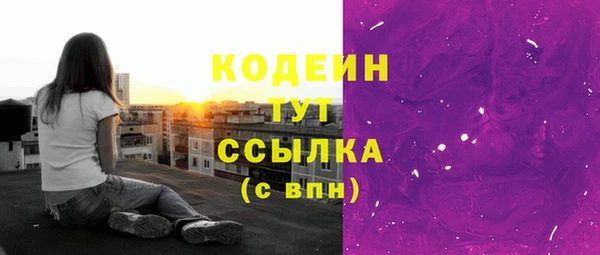 крисы Заводоуковск