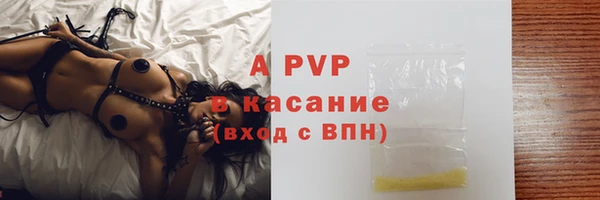 молекула духа Елабуга