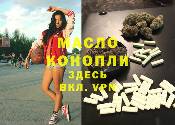 гидра Ельня