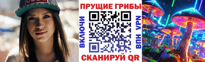 Галлюциногенные грибы Psilocybine cubensis Сенгилей
