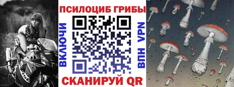 Купить закладки  Сенгилей  Псилоцибиновые грибы Psilocybine cubensis 